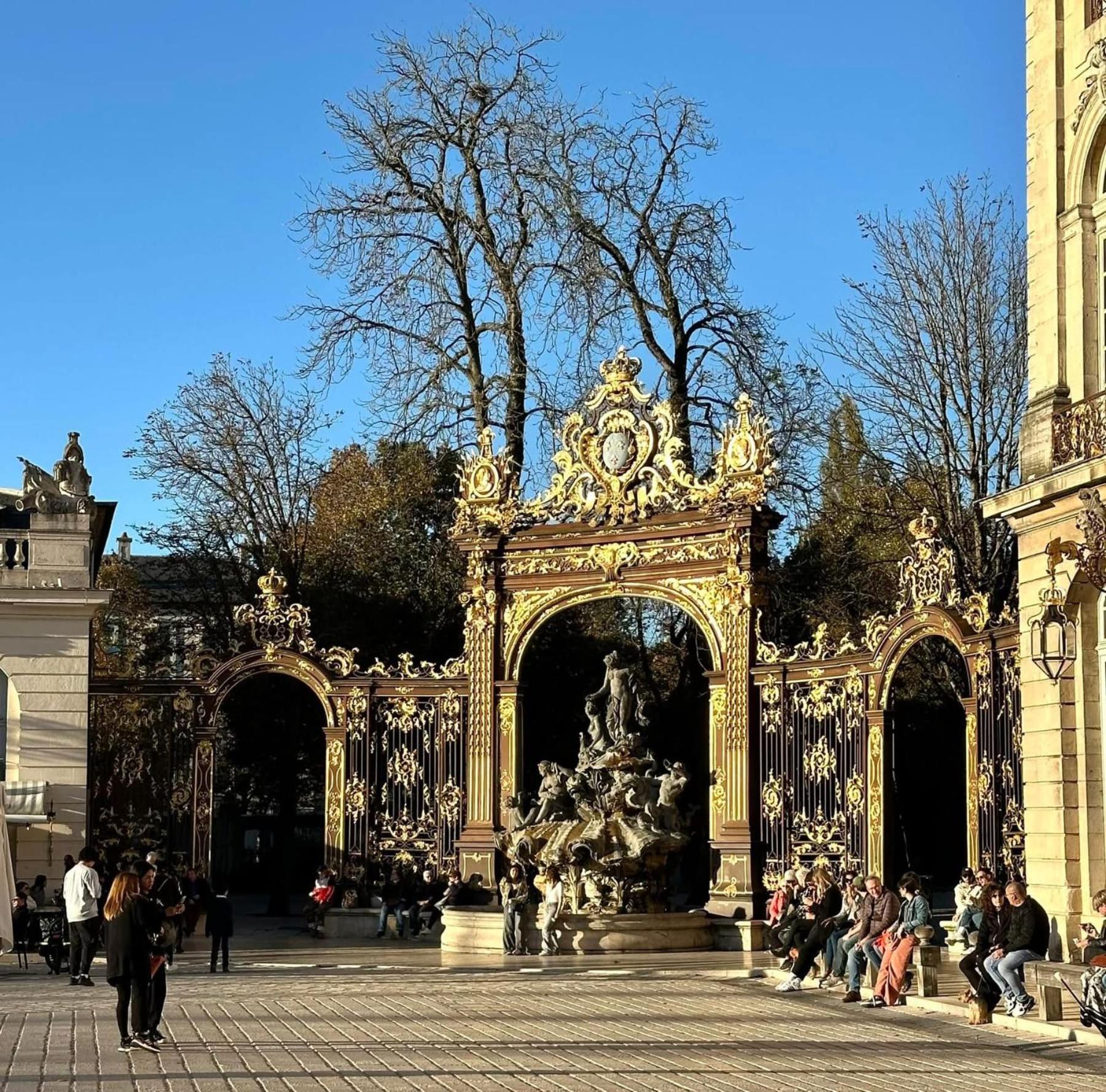 Petit Cocon Proche De Stanislas Nancy Exterior foto